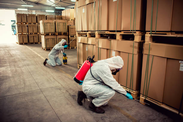 Best Ant Control Services  in Hill N Dale, FL