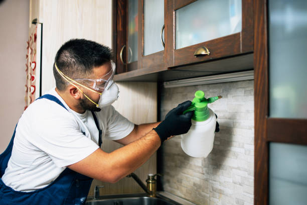Best Emergency Pest Control  in Hill N Dale, FL