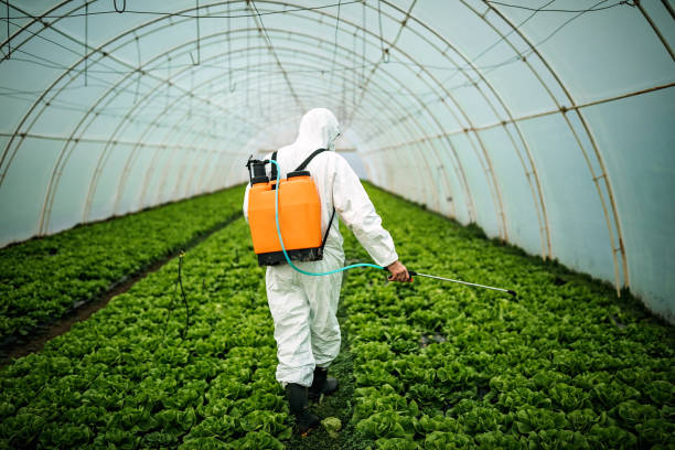 Best Pest Inspection Near Me  in Hill N Dale, FL