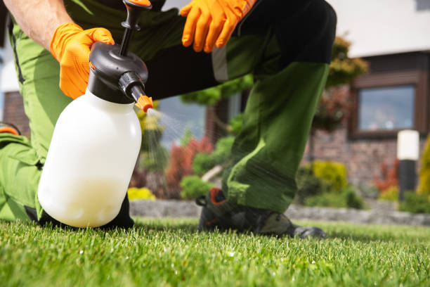 Trusted Hill N Dale, FL Pest Control Experts