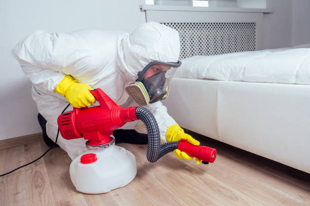 Best Wasp Removal Services  in Hill N Dale, FL