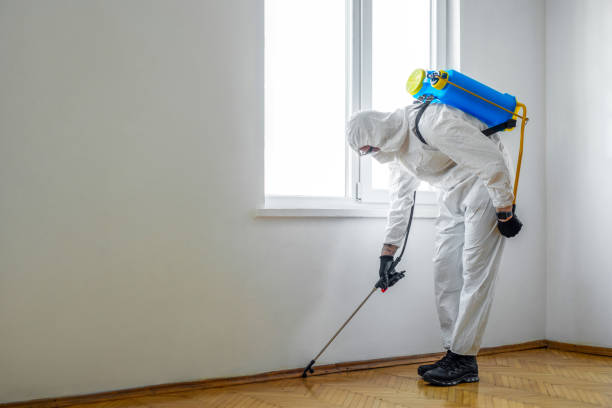 Pest Control for Restaurants in Hill N Dale, FL