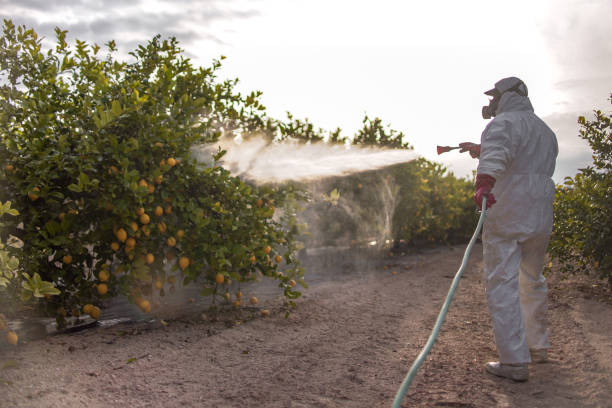 Best Pest Removal Services  in Hill N Dale, FL