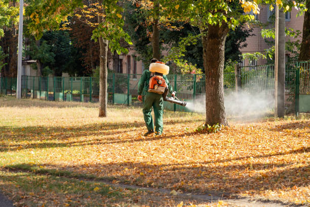 Best Pest Control Near Me  in Hill N Dale, FL