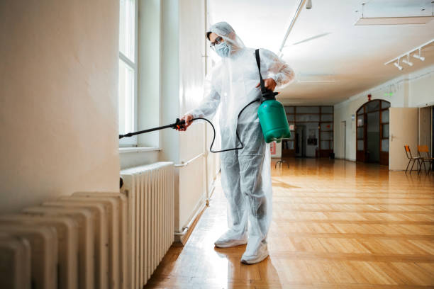 Best Pest Prevention Services  in Hill N Dale, FL