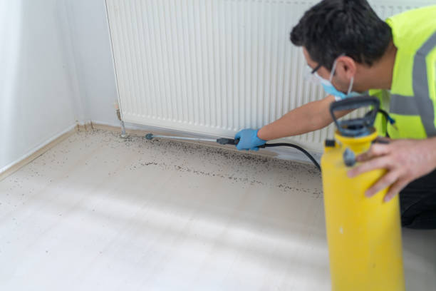 Best Affordable Pest Control Services  in Hill N Dale, FL