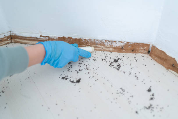 Best Wildlife Control Services  in Hill N Dale, FL