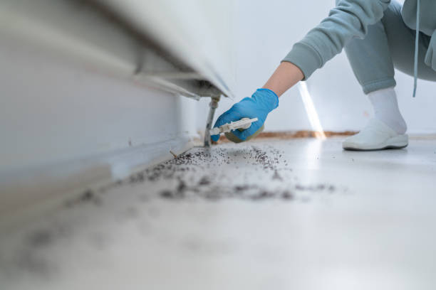 Best Residential Pest Control  in Hill N Dale, FL