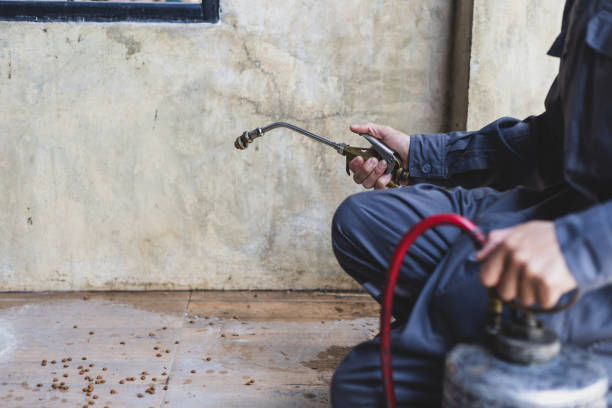 Wasp Removal Services in Hill N Dale, FL